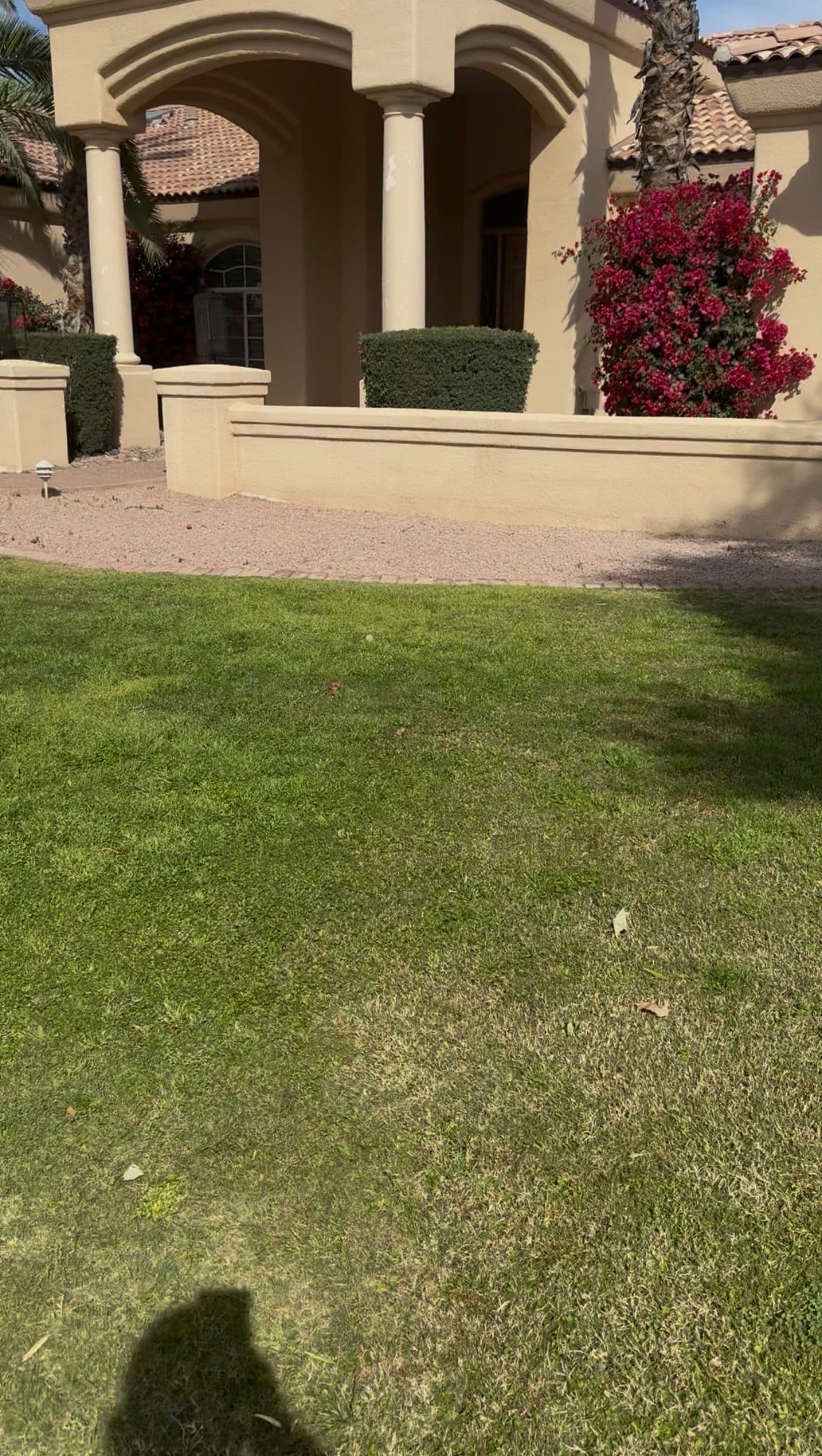 Gallery photos for Desert-Style Oasis in Scottsdale: Image #2