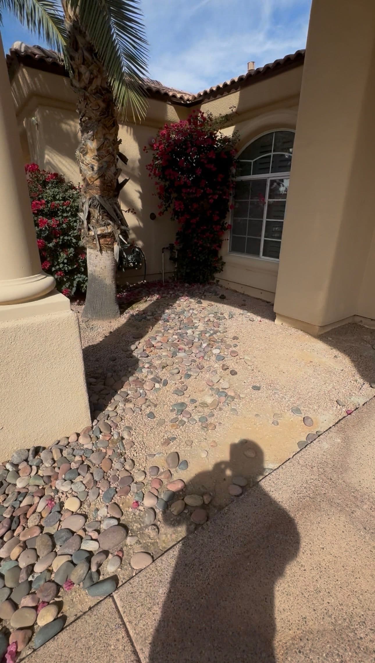 Desert-Style Oasis in Scottsdale image