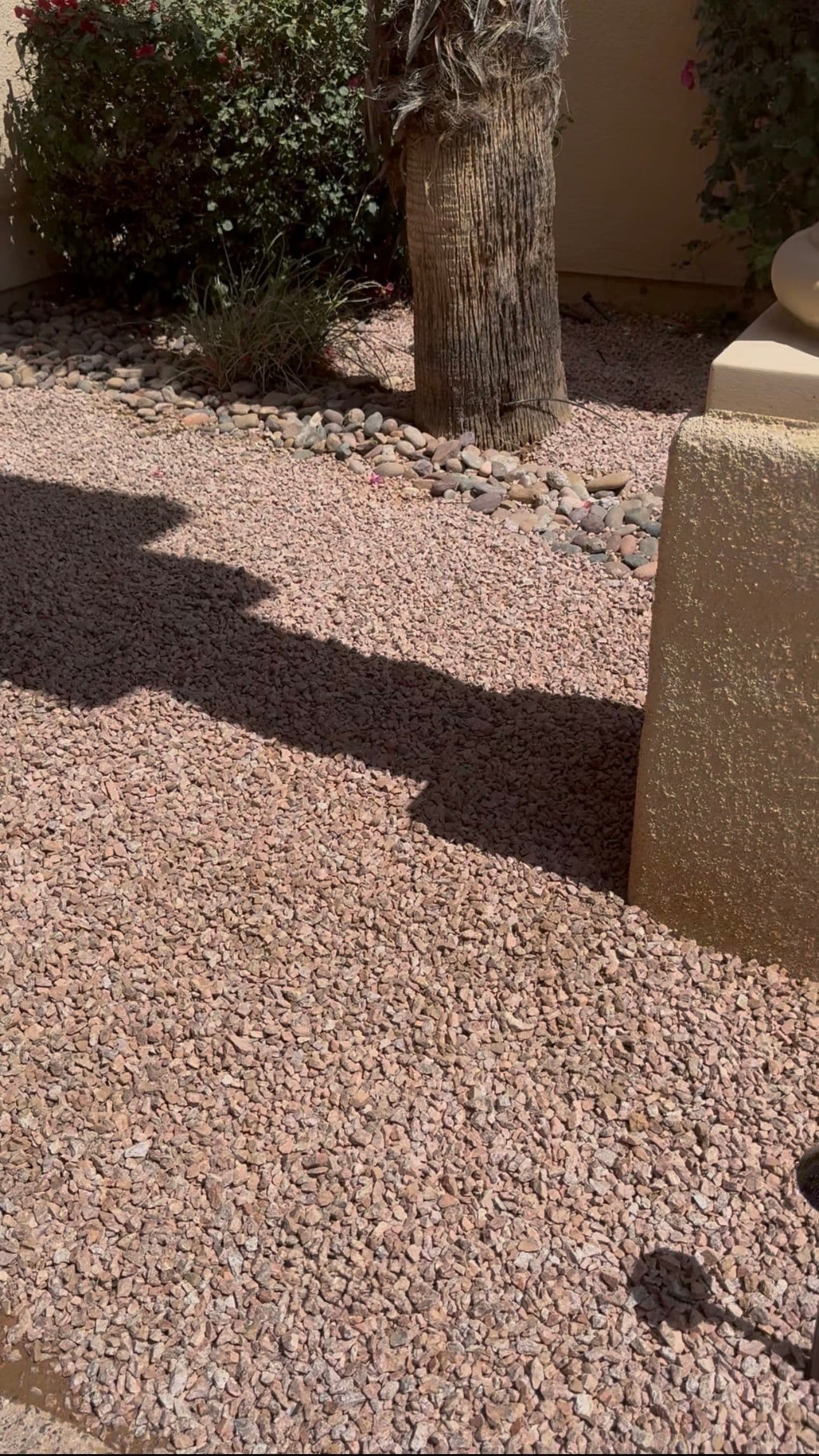 Gallery photos for Desert-Style Oasis in Scottsdale: Image #4