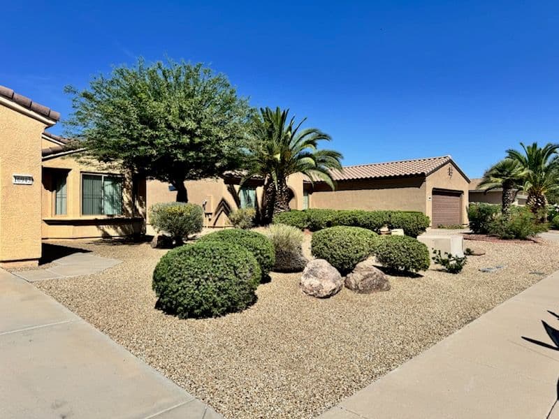 Desert Oasis Landscaping Transformation in Sun City Grand