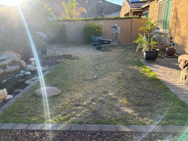 Transform Your Yard With Lush Artificial Turf