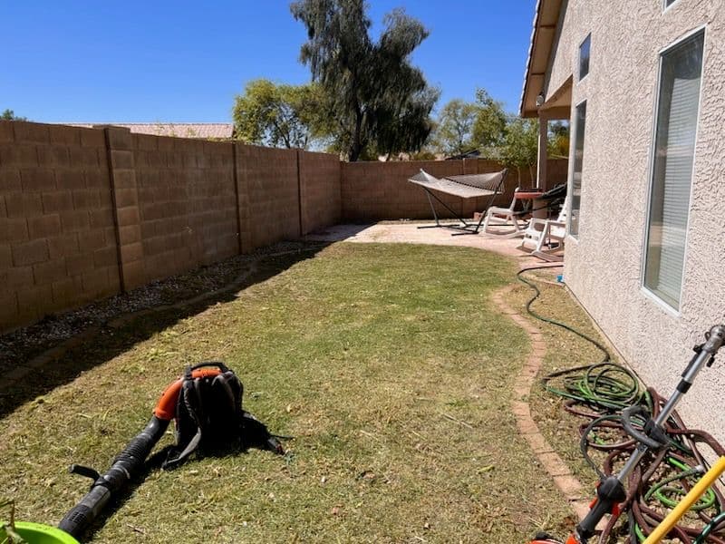Impressive Backyard Transformation with Expert Lawn Care