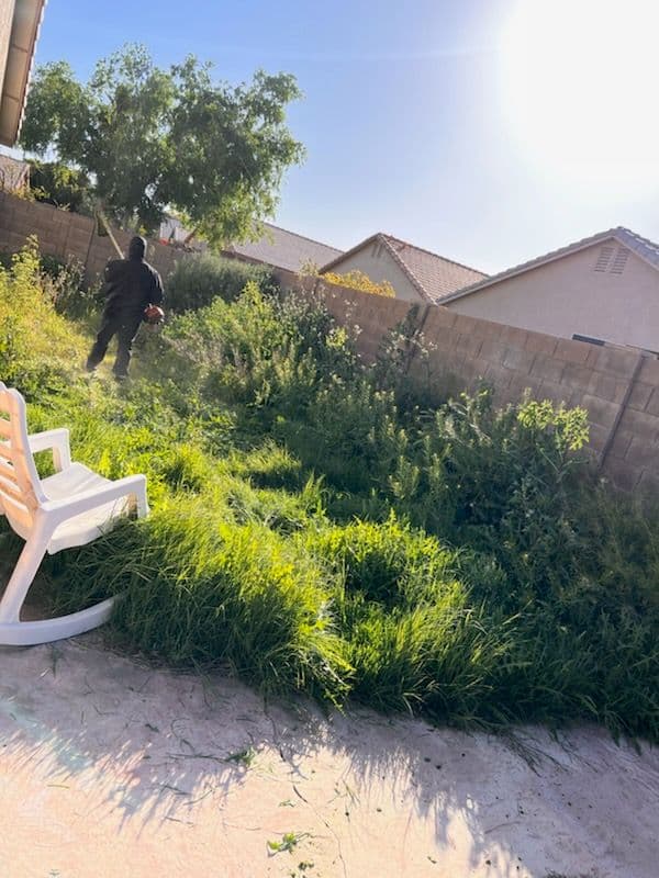 Impressive Backyard Transformation with Expert Lawn Care