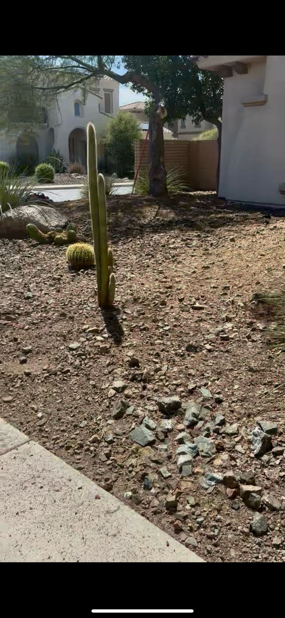 Stunning Desert Landscape Transformation Project image