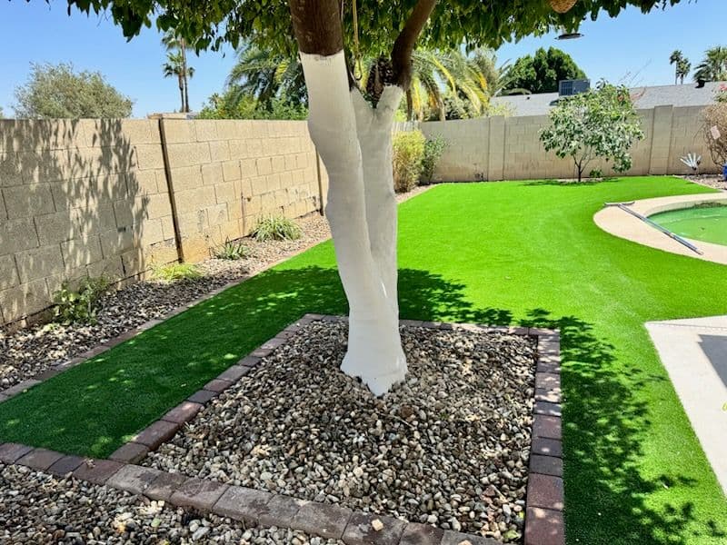 Gallery photos for Revitalized Backyard with Tree Care and Turf: Image #1