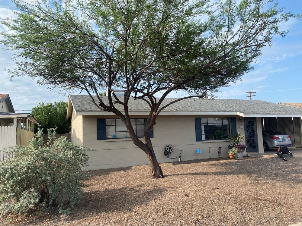 Single-story home with large tree and desert landscaping under a clear sky.
