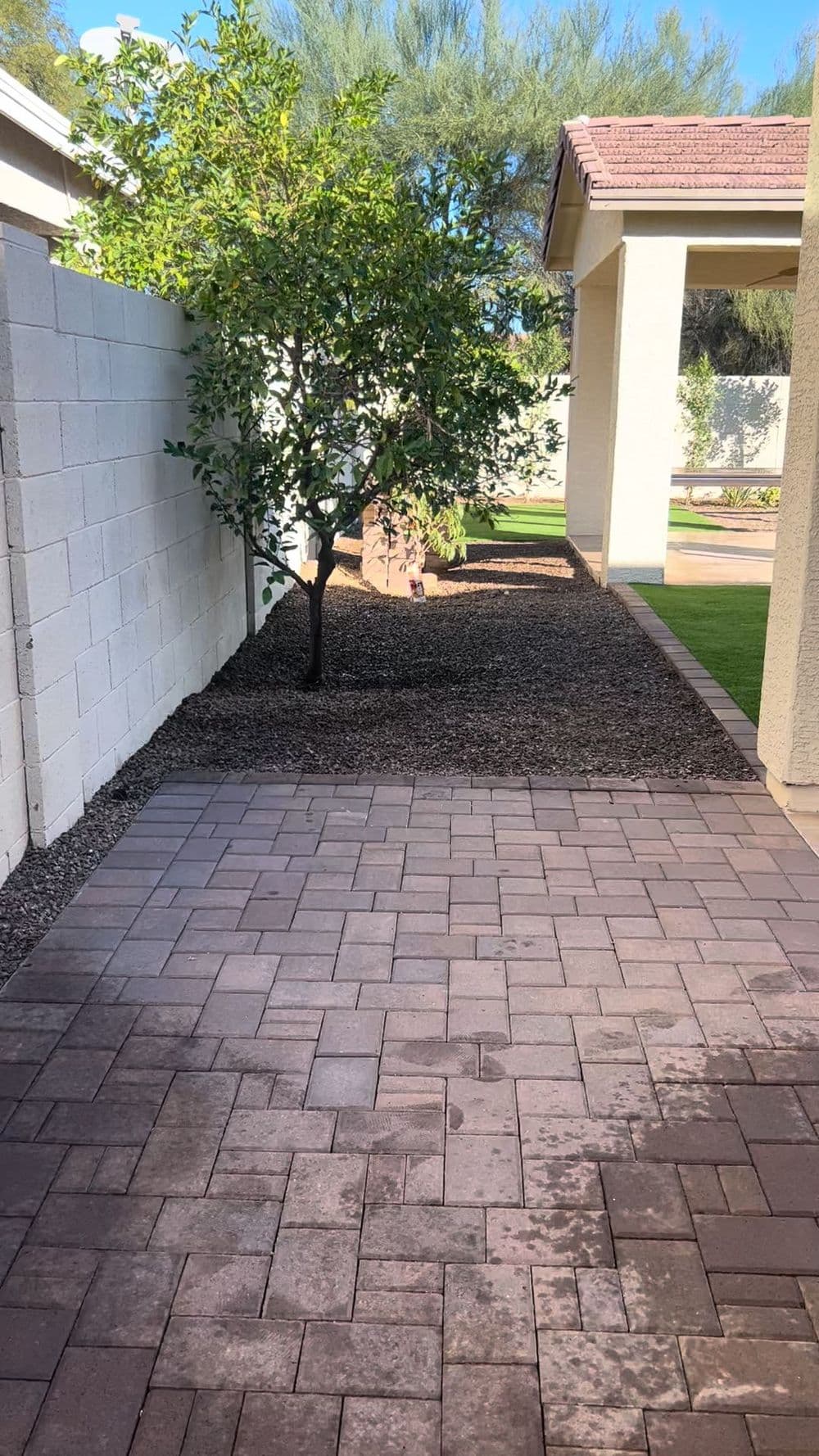 Pathway with pavers alongside a tree and landscaped area in a sunny outdoor setting.