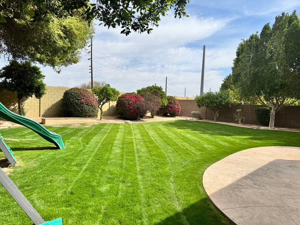 Lush green backyard with manicured lawn, garden plants, and a playset.