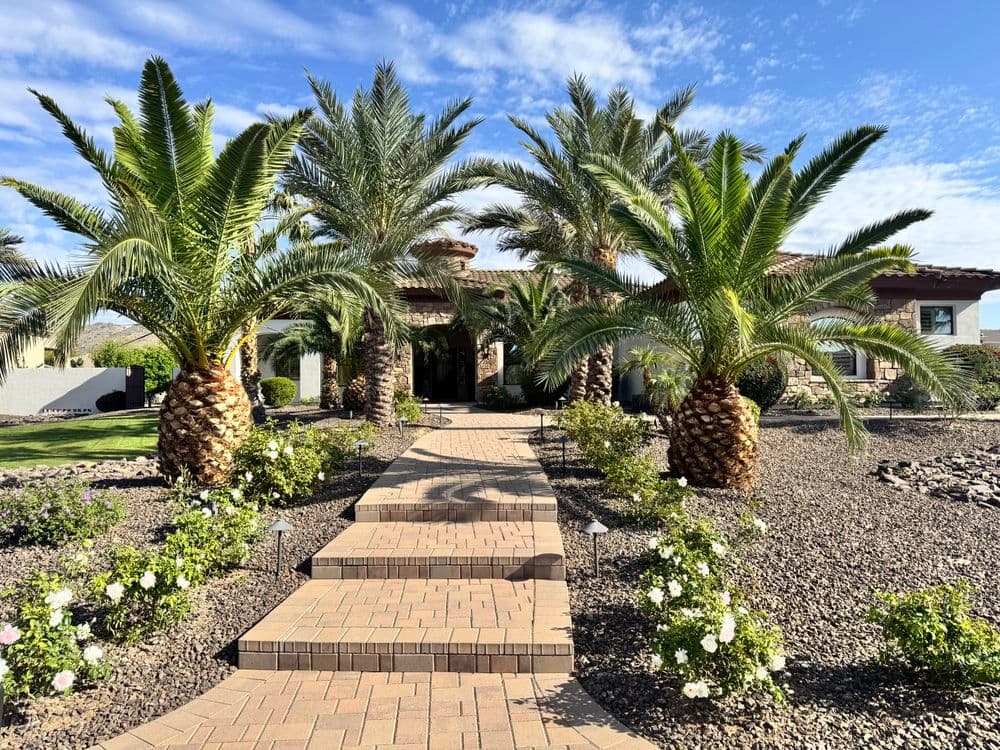 Casa with tropical palm trees and a stone pathway leading to the entrance. Lush landscaping.